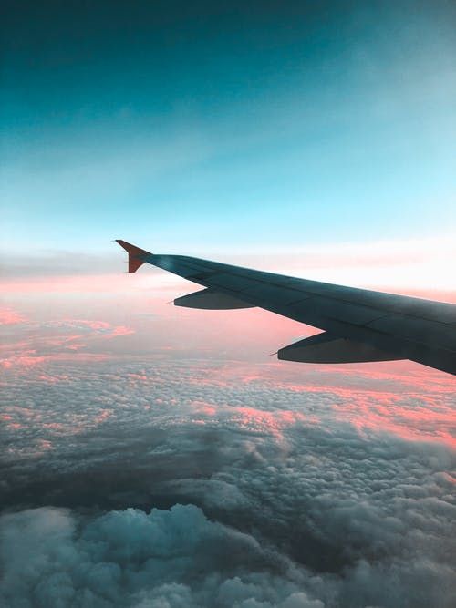 plain wing