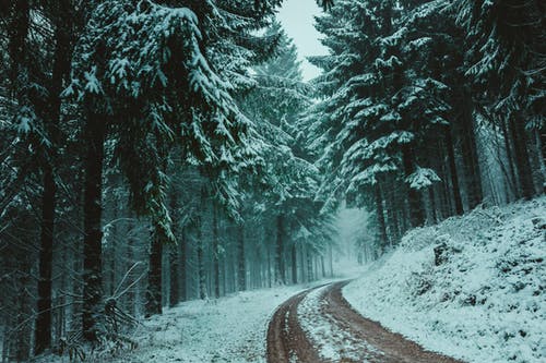 snowed road